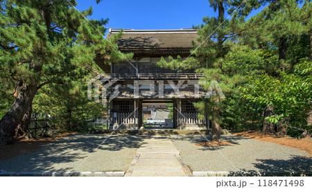 天徳寺山門と松の巨木　秋田市 118471498