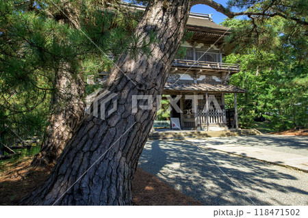 天徳寺山門と松の巨木　秋田市 118471502