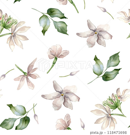 Jasmine flowers, buds, leaves watercolor seamless pattern isolated. Botanical blooms in pastel colors hand drawn on repeated texture. Floral background in pale tones for textile, package, wallpaper. Jasmine flowers, buds, leaves watercolor seamless pattern isolated. Botanical blooms in pastel colors hand drawn on repeated texture. Floral background in pale tones for textile, package, wallpaper. 118471698