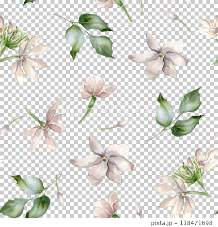 Jasmine flowers, buds, leaves watercolor seamless pattern isolated. Botanical blooms in pastel colors hand drawn on repeated texture. Floral background in pale tones for textile, package, wallpaper. Jasmine flowers, buds, leaves watercolor seamless pattern isolated. Botanical blooms in pastel colors hand drawn on repeated texture. Floral background in pale tones for textile, package, wallpaper. 118471698