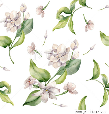 Jasmine bunch, buds, petals watercolor seamless pattern isolated. White flower botanical style hand drawn on repeating texture. Flowers of jasmine background for design textile, package, wrapping. 118471700