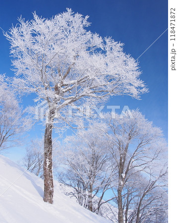 谷川岳・天神平の霧氷 谷川岳・天神平の霧氷 118471872