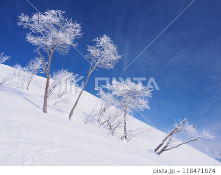 谷川岳・天神平の霧氷 谷川岳・天神平の霧氷 118471874