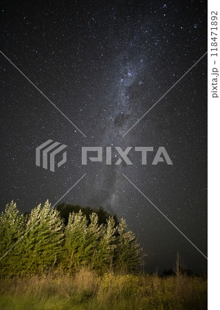 Pampas landscape photographed at night with a starry sky, La Pampa province, Patagonia , Argentina. 118471892
