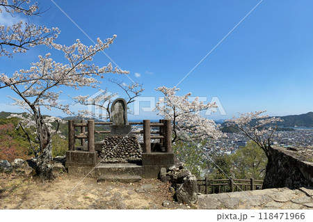 佐伯市街を望む佐伯城跡の独歩碑と桜 118471966