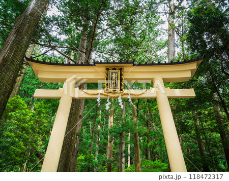 熊野那智大社別宮　飛瀧神社 118472317