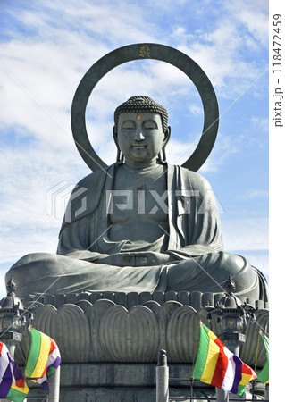 高岡大仏(富山県高岡市) 高岡大仏(富山県高岡市) 118472459
