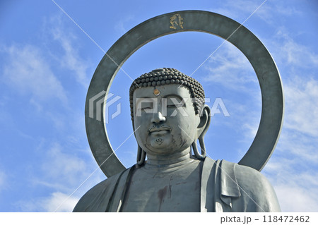 高岡大仏(富山県高岡市) 高岡大仏(富山県高岡市) 118472462