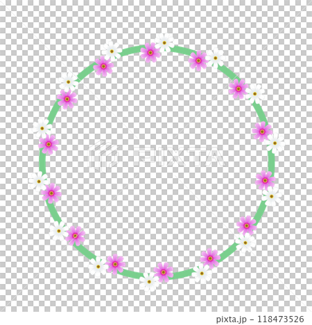 コスモスの花の円形飾り枠のイラスト 118473526