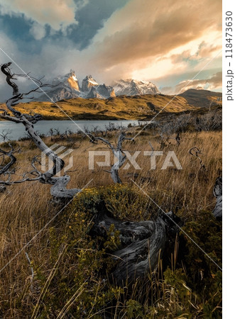 Windswept landscape beneath towering mountains Windswept landscape beneath towering mountains 118473630
