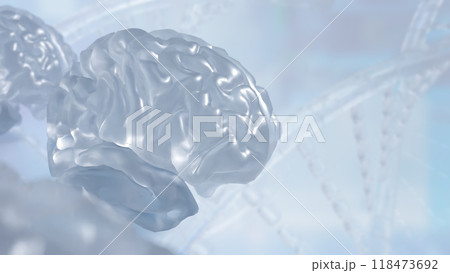 The crystail Brain on white Background  3d rendering. The crystail Brain on white Background  3d rendering. 118473692