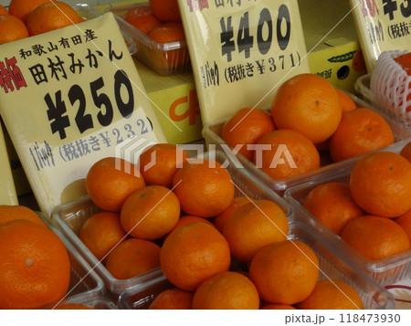 田村みかん 田村みかん 118473930