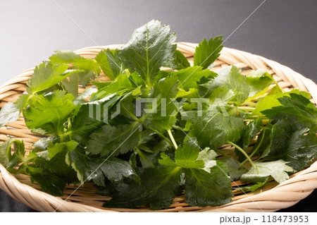 糸みつば 118473953