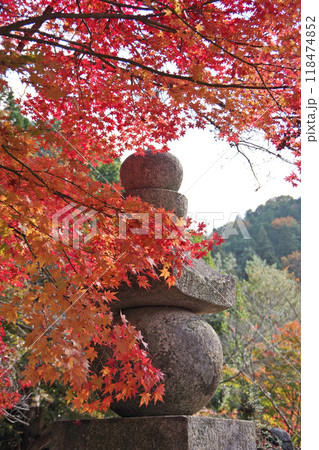 秋の今高野山 秋の今高野山 118474852