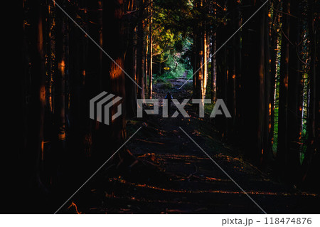 朝焼けの登山道 118474876