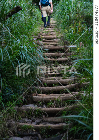 登山道の階段 118474877