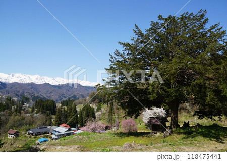 春を迎えた小川村 春を迎えた小川村 118475441