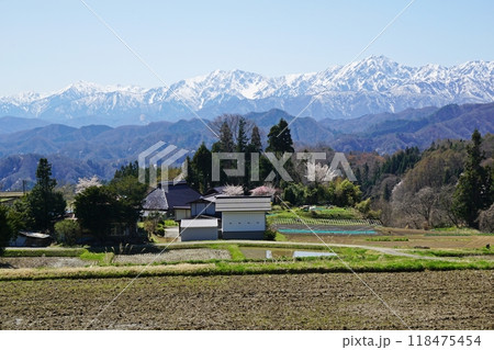 春を迎えた小川村と残雪の北アルプス 118475454