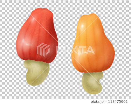 2 cashew apples (cashew fruit) 118475901