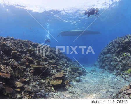 憧れの沖縄の海で体験ダイビング 憧れの沖縄の海で体験ダイビング 118476343