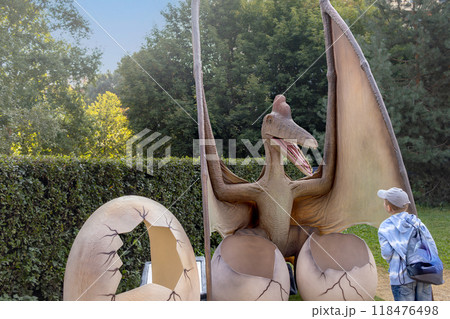 Boy examines pterodactyl at street exhibit 118476498