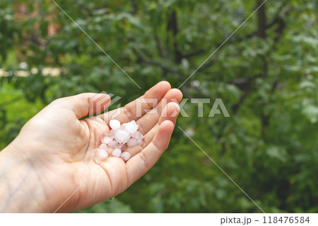 Ice flakes of large hail lie on woman's hand against green garden background. Close-up. Copy space 118476584