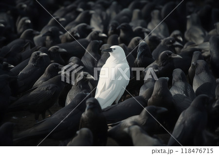 A white crow among many black crows A white crow among many black crows 118476715