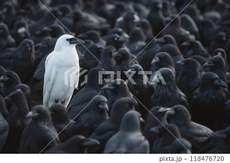 A white crow among many black crows 118476720