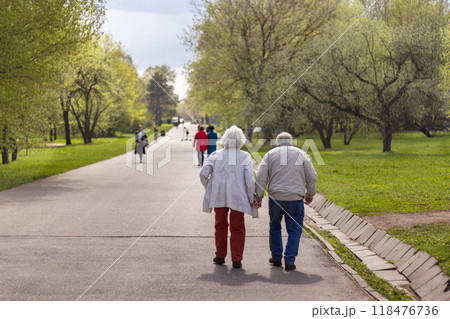 Senior couple, holding hands, strolling through spring park. Happy old age 118476736