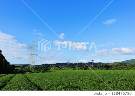 茶畑と送電鉄塔 118476780