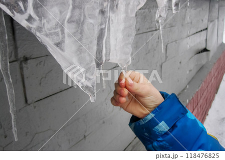 Child's hand touching melting icicle. beginning of spring, thaw. Exploring properties of nature Child's hand touching melting icicle. beginning of spring, thaw. Exploring properties of nature 118476825