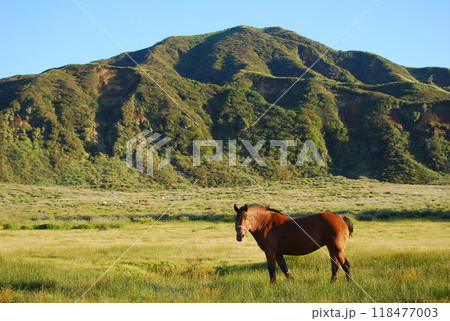 阿蘇の風景 阿蘇の風景 118477003