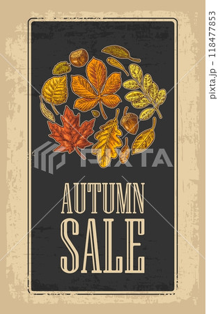 Poster AUTUNB SALE with set leaf and acorn. Vector vintage engraved illustration. 118477853