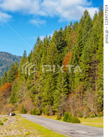country road in mountains of ukraine. sunny autumn scenery in the afternoon. vertical comoposition country road in mountains of ukraine. sunny autumn scenery in the afternoon. vertical comoposition 118477914