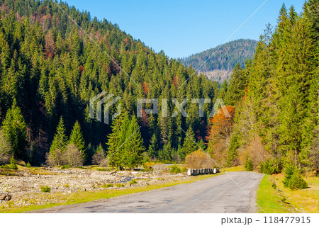 country road in mountains of ukraine. sunny autumn scenery in the afternoon. picturesque travel destination country road in mountains of ukraine. sunny autumn scenery in the afternoon. picturesque travel destination 118477915