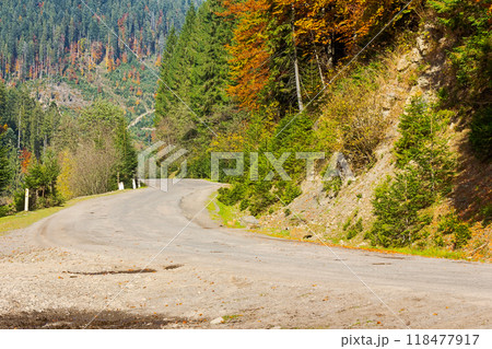 country road in mountains of ukraine. sunny autumn scenery in the afternoon 118477917