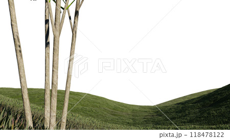nature grass meadow land lush greenery landscape lawn isolated background. meadow green hill plant beautiful spring mountain park environment 3d render. grass plant field summer travel outdoor. nature grass meadow land lush greenery landscape lawn isolated background. meadow green hill plant beautiful spring mountain park environment 3d render. grass plant field summer travel outdoor. 118478122