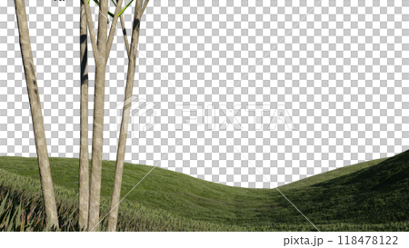 nature grass meadow land lush greenery landscape lawn isolated background. meadow green hill plant beautiful spring mountain park environment 3d render. grass plant field summer travel outdoor. nature grass meadow land lush greenery landscape lawn isolated background. meadow green hill plant beautiful spring mountain park environment 3d render. grass plant field summer travel outdoor. 118478122