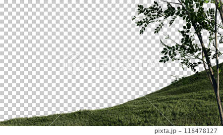 nature grass meadow land lush greenery landscape lawn isolated background. meadow green hill plant beautiful spring mountain park environment 3d render. grass plant field summer travel outdoor. 118478127