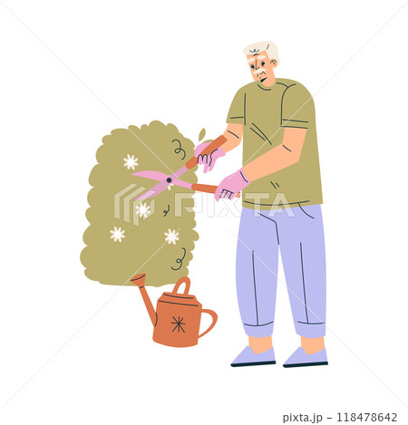Senior Man Character Prune Bush Engaged in Garden Work Vector Illustration Senior Man Character Prune Bush Engaged in Garden Work Vector Illustration 118478642