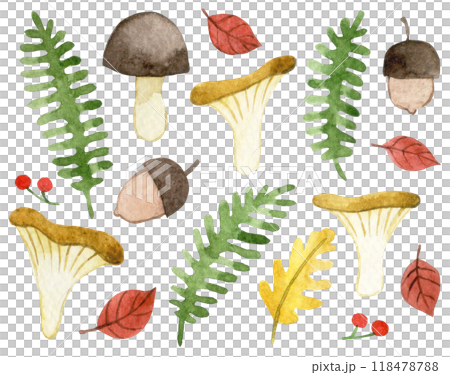 watercolor set with forest plants and mushrooms. cute autumn set, cartoon watercolor set with forest plants and mushrooms. cute autumn set, cartoon 118478788