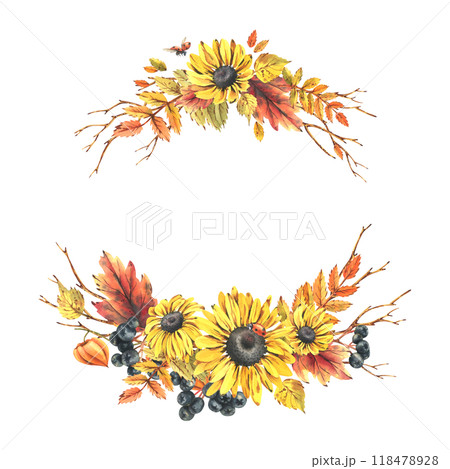 Autumn berries physalis, chokeberry, rowan leaves, maple, birch, rudbeckia flowers, tree branches and ladybugs. Watercolor illustrations. Round frame wreath isolated from background Autumn berries physalis, chokeberry, rowan leaves, maple, birch, rudbeckia flowers, tree branches and ladybugs. Watercolor illustrations. Round frame wreath isolated from background 118478928