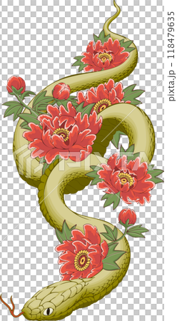 2025年賀状素材「花と蛇」 118479635