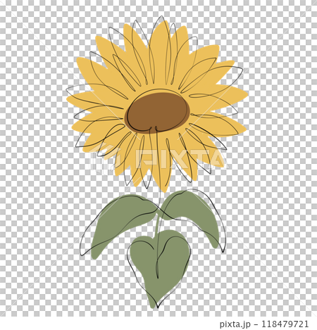 Sunflower Sunflower 118479721