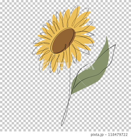 Sunflower Sunflower 118479722
