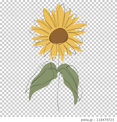 Sunflower 118479723