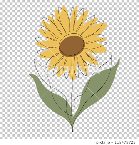 Sunflower 118479725