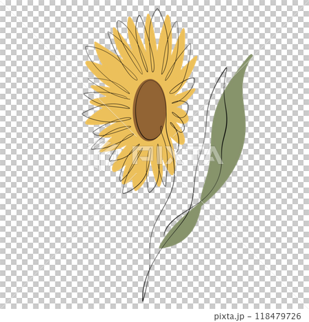 Sunflower Sunflower 118479726