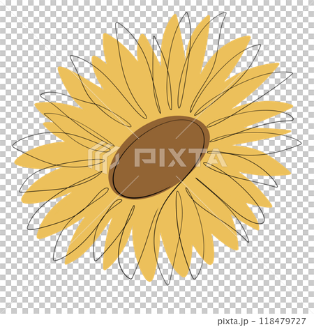 Sunflower Sunflower 118479727