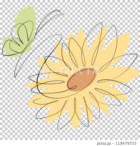 Sunflower Sunflower 118479733